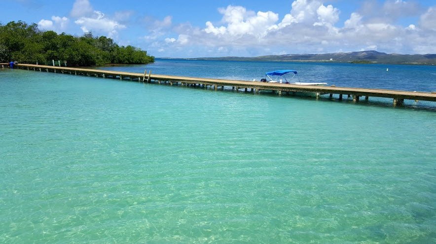 Gatas, Puerto Rico